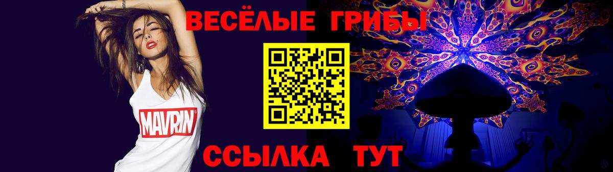 Полысаево  Псилоцибиновые грибы ЛСД  Вход с VPN 